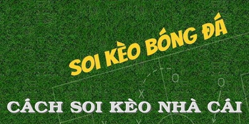 Những lưu ý khi tham gia cá cược tại bet168 kèo nhà cái