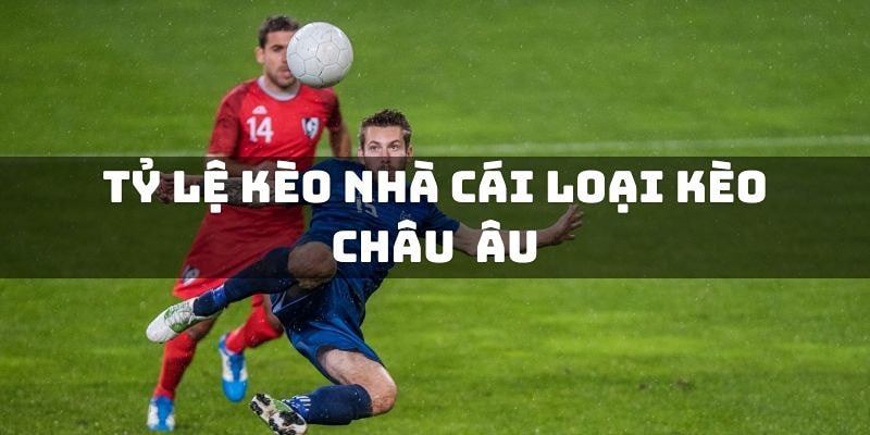 Kinh nghiệm cá cược kèo nhà cái châu Âu không lỗ