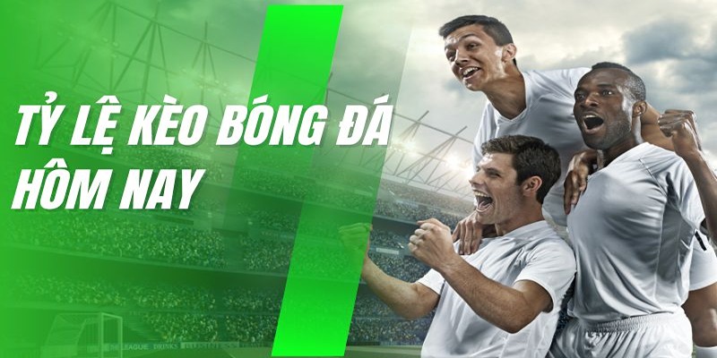 Cung cấp đầy đủ các kèo cá cược bóng đá tại website bet88