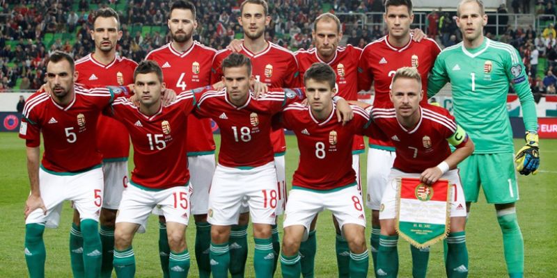 Thông tin mới nhất về hai đội hungary vs thụy sĩ